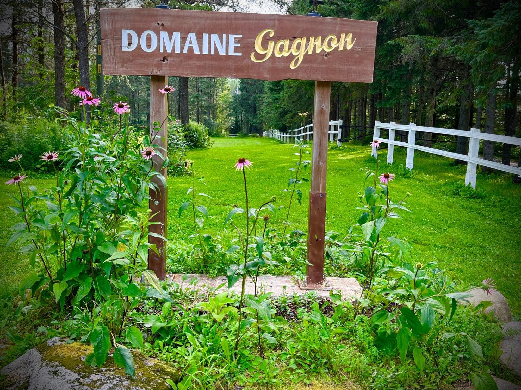 Вилла Domaine Gagnon Saint Sebastien Экстерьер фото